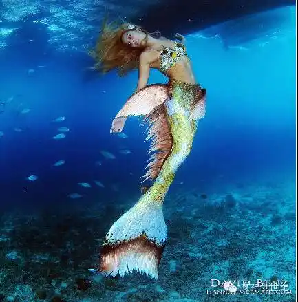 真美人鱼的故事