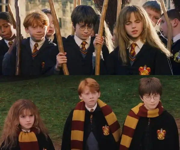 hp  #哈利波特  #赫敏  #罗恩  #哈利波特与魔法石  #哈利