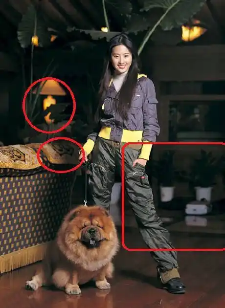 刘亦菲承认亿万富豪陈金飞养的"扬州瘦马",网友:扬州瘦马