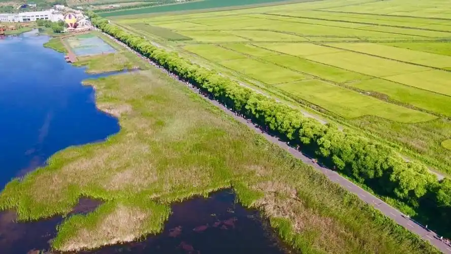 2018富锦马拉松落幕千名跑者跑燃一座城
