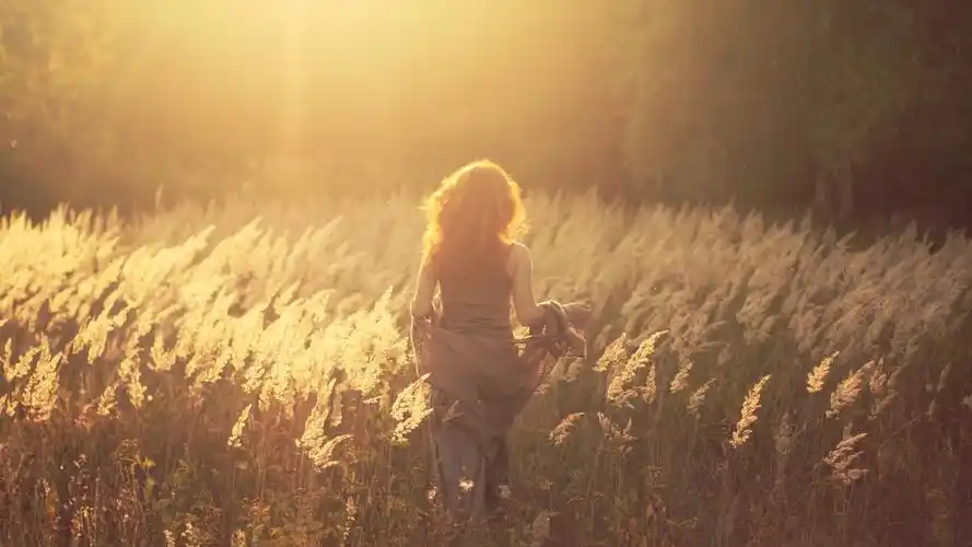 美女背影唯美高清桌面壁纸图片