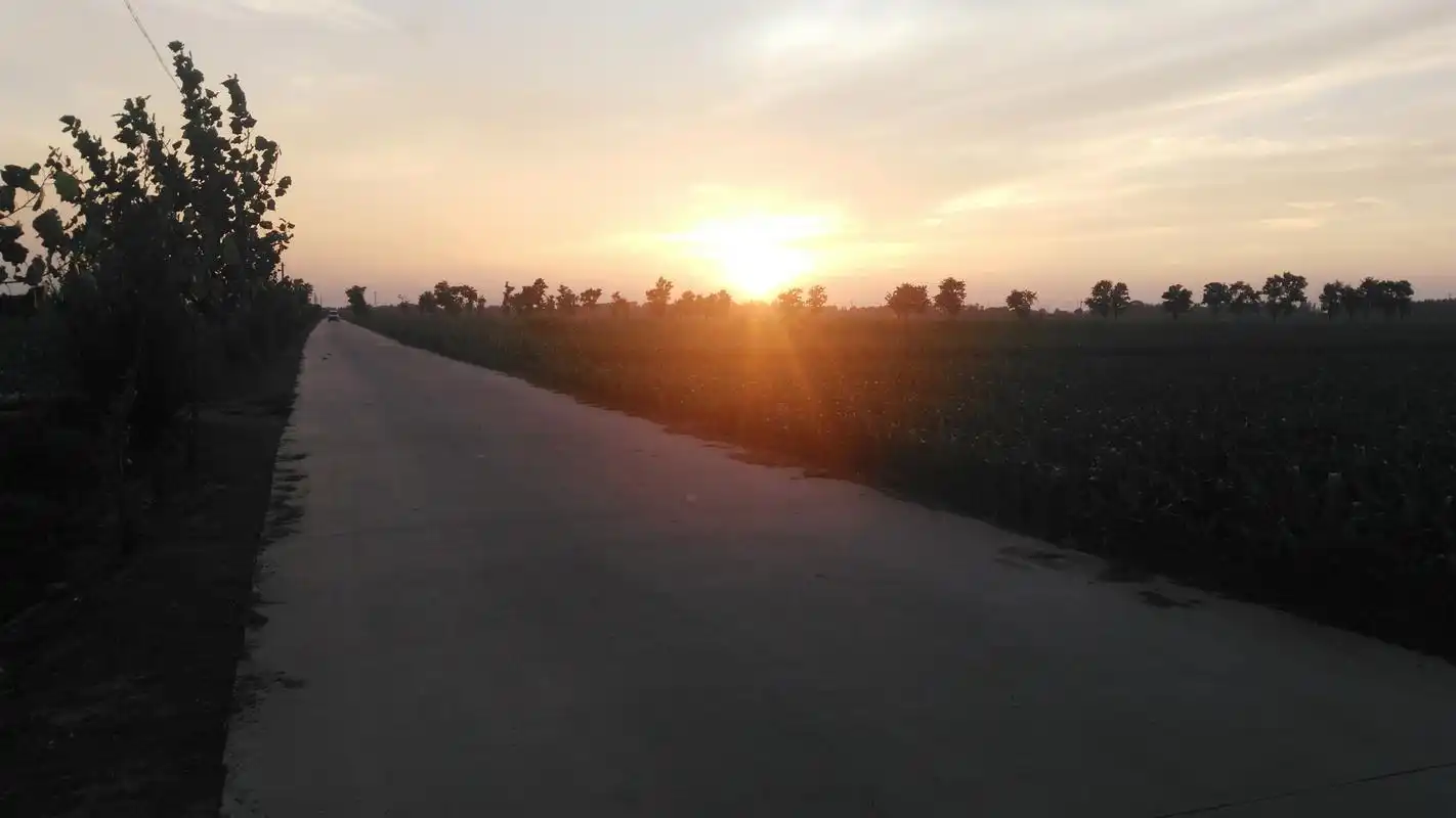 傍晚的山东寿光,在农村田野里的实拍
