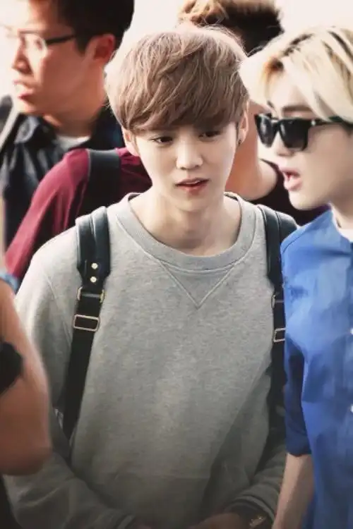 exo 鹿晗-堆糖,美好生活研究所