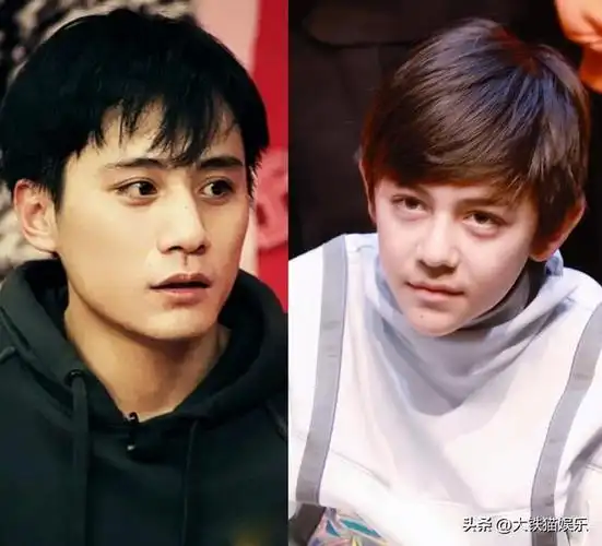 刘烨一共几个小孩(刘烨混血儿子帅)(5)