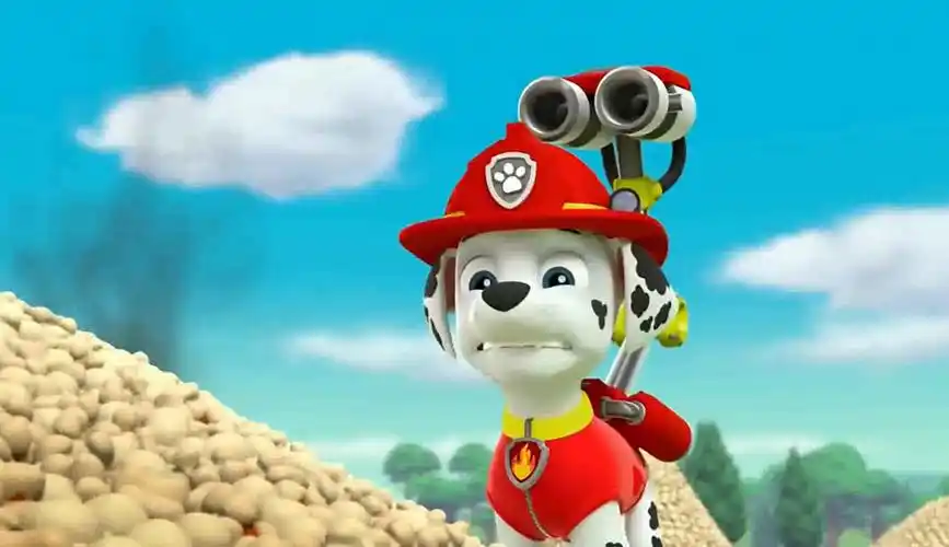 汪汪队立大功:咕咕鸡消失不见,古薇市长非常担心,要去把它给找回来