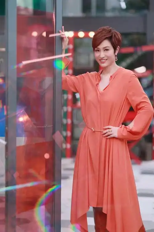 陈法蓉身着 st. john 蚕丝连衣裙和结饰腰环亮相综艺