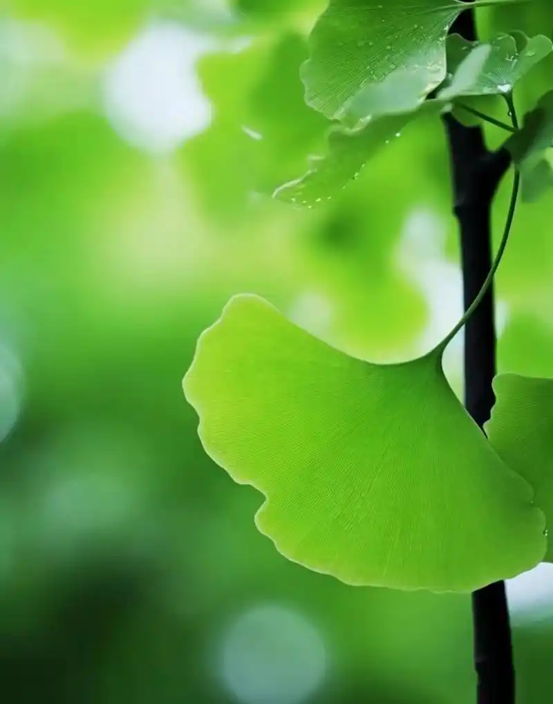 1006_1280竖版 竖屏