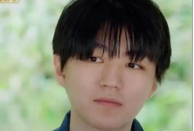 王俊凯自导自演的澄清,被网友打假,他不少真假黑料再次全网流传|杨柳