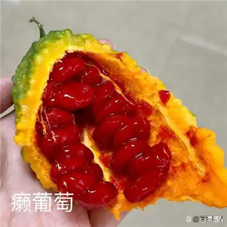 奇怪的水果图片及名称_颜值高又奇怪的水果合集