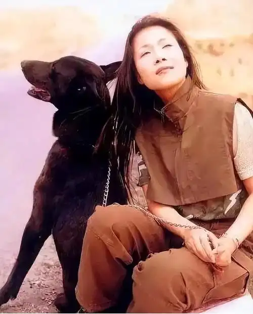 田震个人资料简介(无儿无女丈夫依旧不离不弃) - 帮企客