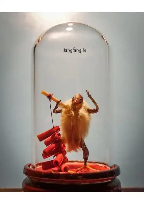 过年了,在庙会上给自己买了一个毛猴,并将它的制作过程记录了下来.