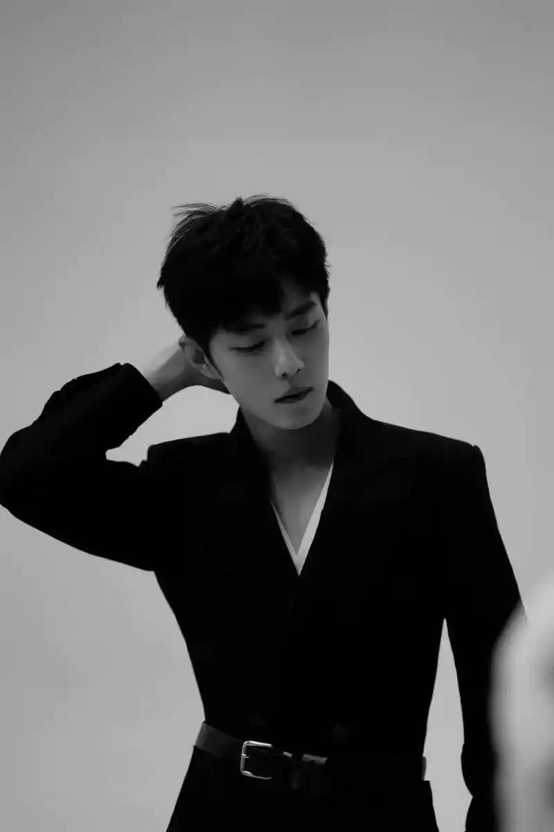 肖战 简单颜色黑白灰.风很温柔,花很浪漫,你很特别,我很喜 - 抖音