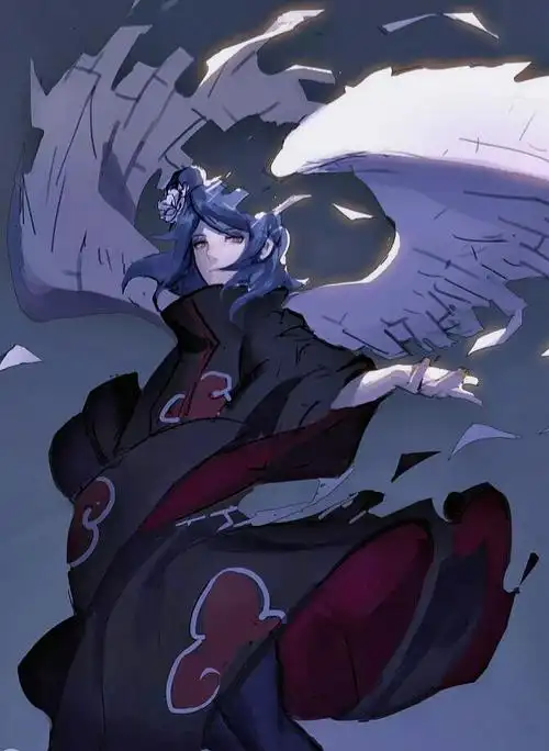 火影忍者 晓组织 佩恩小南