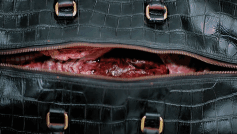 曼谷商场摆放血淋淋皮包内装新鲜内脏组图