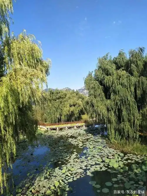 实拍风景图片好美呀