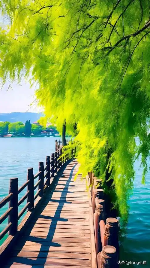 西湖美景,太漂亮了