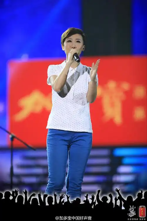 加多宝中国好声音