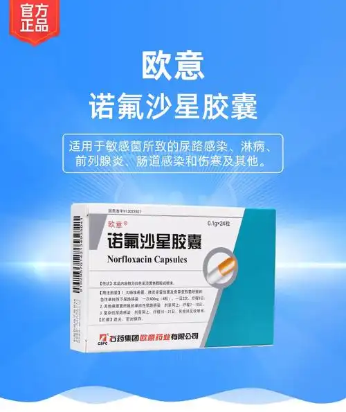 诺氟沙星胶囊欧意