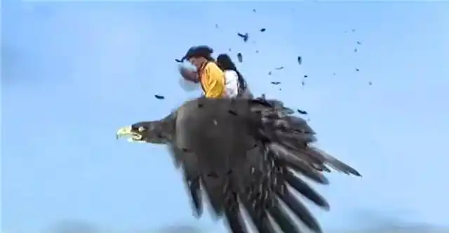 可能是因为太饿了的原因,一段时间过后,大雕又回来