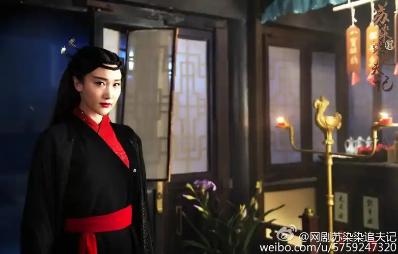 《苏染染追夫记》是北京壹加传媒有限公司承制的古装武侠网络剧,由 a