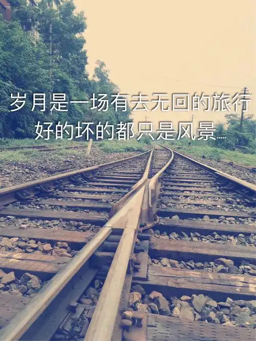 青春是一场有去无回的旅行,好的,坏的,都是风景,很高兴,我们始终一路