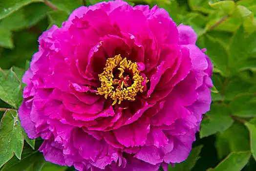 洛阳图片大全_洛阳高清图片下载_图片网