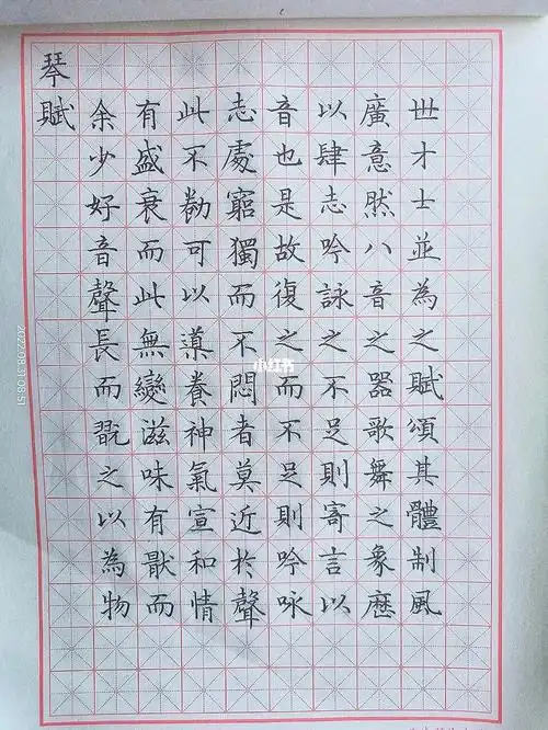 硬笔临摹琴赋百日书法打卡day54