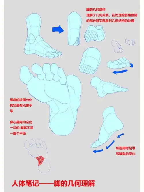 总结了一些各角度脚的画法