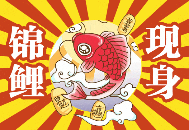 640_441gif 动态图 动图