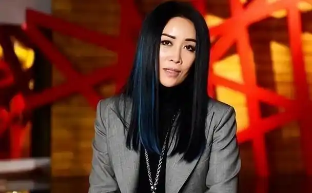 那英个人资料简介及(简历(分手后带儿子嫁给男闺蜜))_金纳莱网