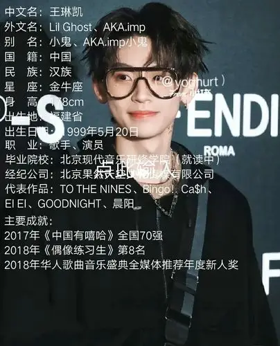 小鬼简介_歌曲_爱奇艺_音乐_真人秀_ninepercent_达芬奇怎么样_蔡徐坤