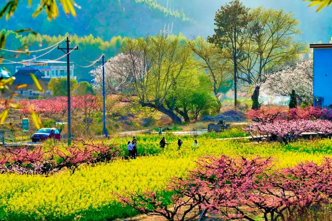 美到勾起乡愁一组如诗如画的河源春景图带你穿越到儿时的故乡