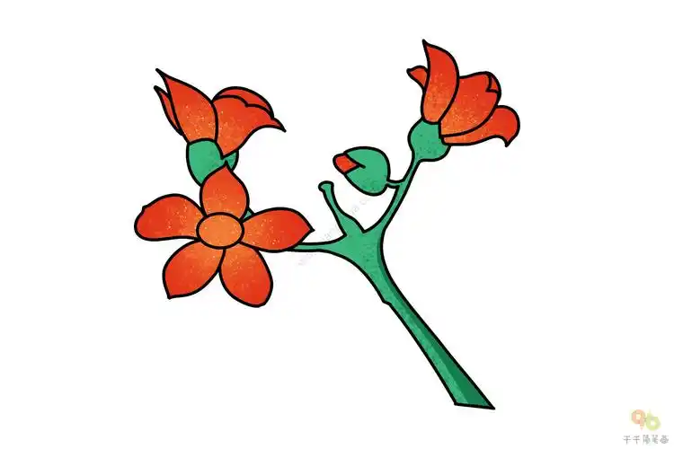 木棉花简笔画