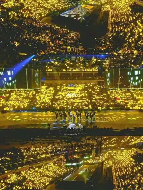 想念咪咕蔡徐坤的金海了