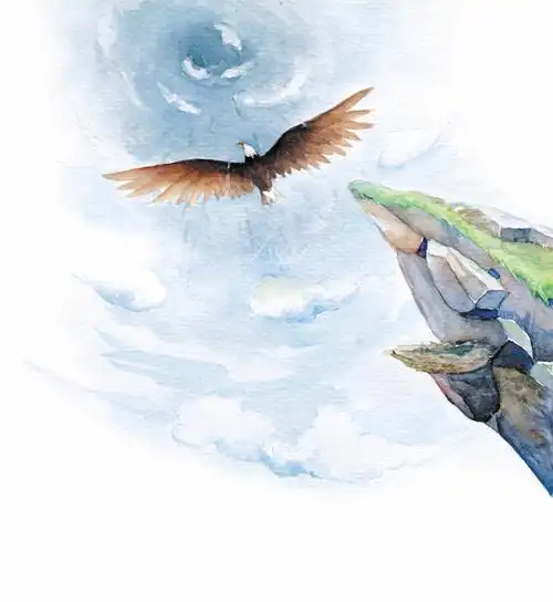 鹰1|插画|儿童插画|isar - 原创作品 - 站酷 (zcool)