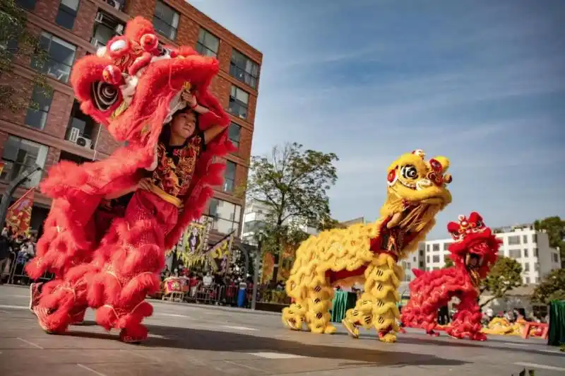 雄狮少年传承传统文化广州白云区嘉禾街青少年醒狮大赛拔得头筹