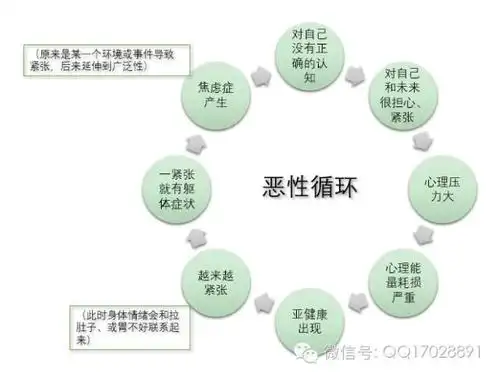 砍断焦虑症的恶性循环