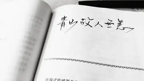 手书 手写句子 原创 歌词 台词 原创壁纸 励志壁纸 哲理 黑白 手写