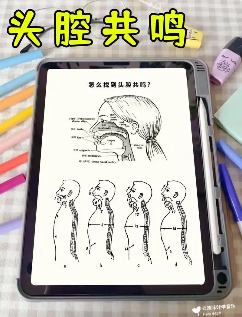 9369♀15教你学会头腔共鸣,你也可以轻松飙高音 93相信高音是