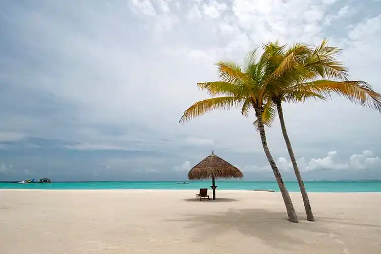 马尔代夫,海滩,风景,棕榈树,伞_高清图片_全景视觉