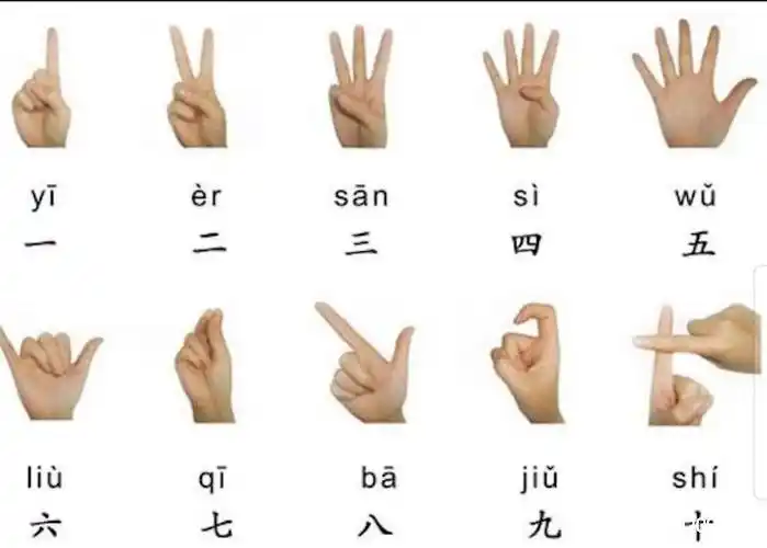 中国19手势图八的手势怎么比划