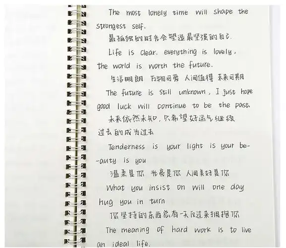 奶酪汉字字帖 送30张临摹纸10笔芯1支37043c》无著【摘要 书评 在线