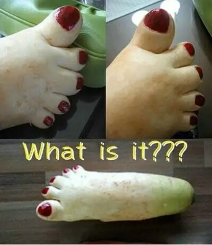 diy柚子,搞笑诙谐引眼球