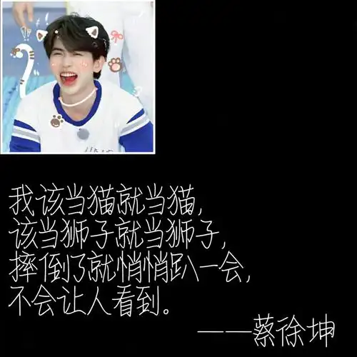 蔡徐坤语录自制