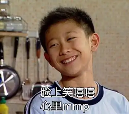 脸上笑嘻嘻 心里 mmp(妈卖批)家有儿女刘星张一山