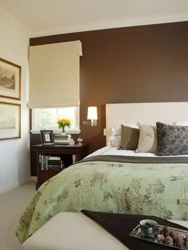 软装色彩搭配棕色系