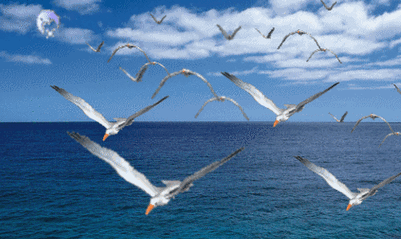 423_252gif 动态图 动图