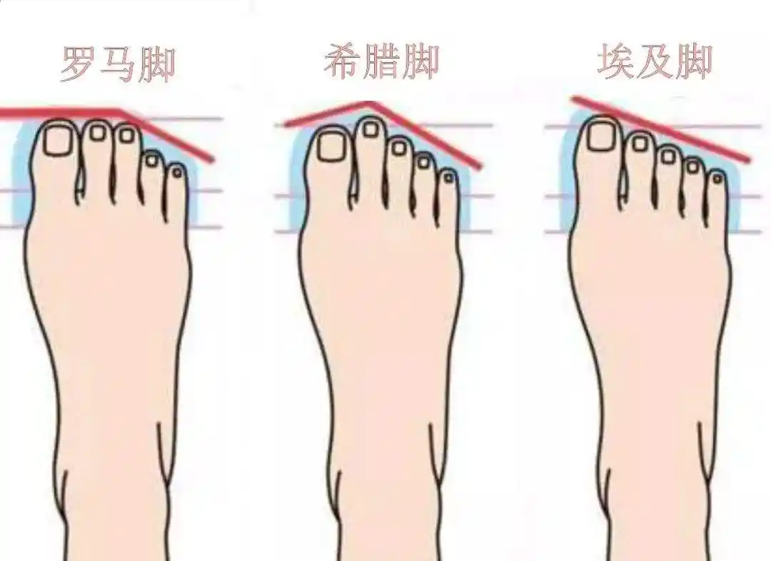 二拇脚趾头长,长大了不养娘?从脚看人品,这句农俗有点扯淡