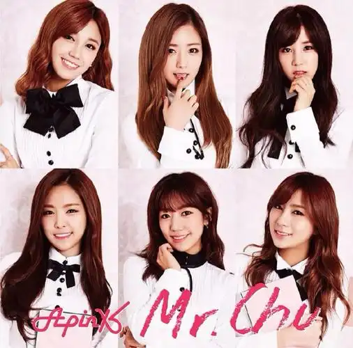 apink mr.chu