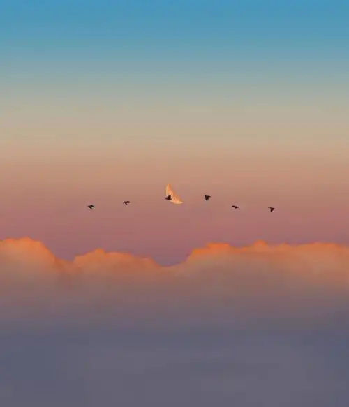 风景壁纸##无水印壁纸##日落##小清新壁纸##微信8.